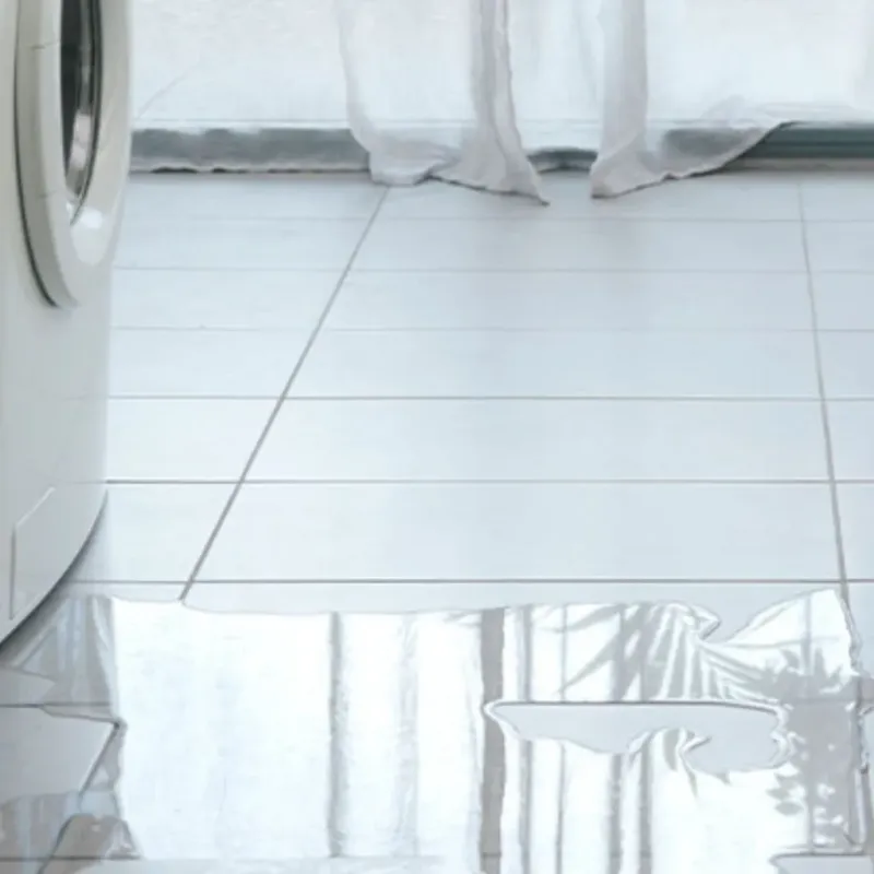 Appliance Leak Cleanup in Wilmington, IL