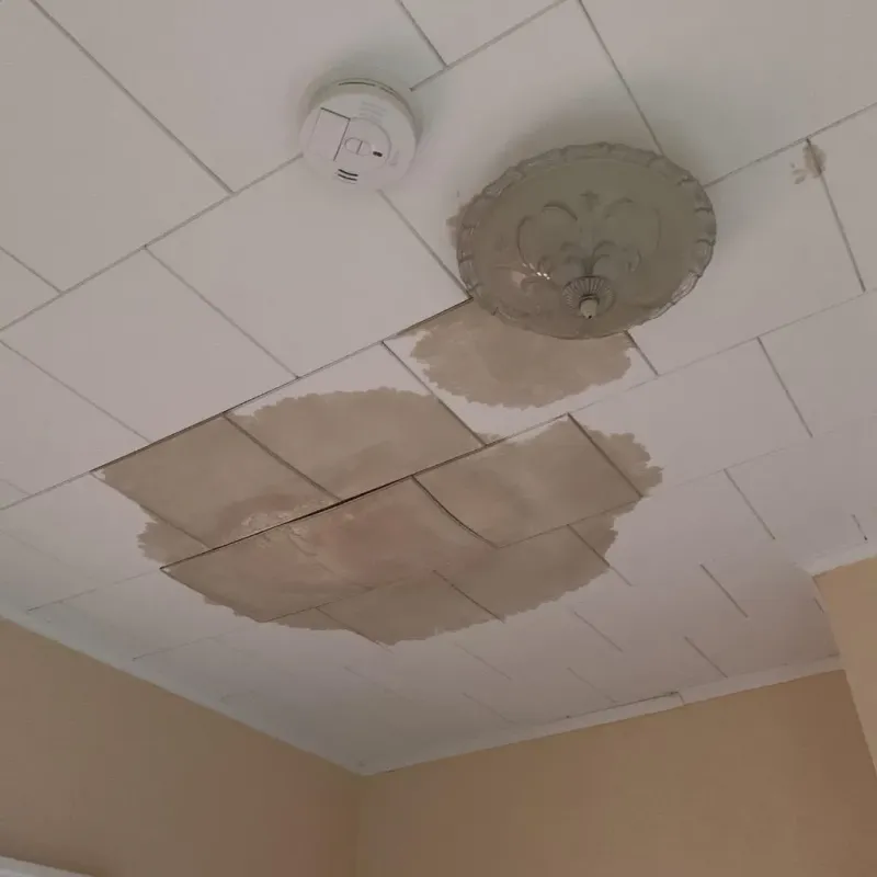 Ceiling Water Damage Repair in Wilmington, IL