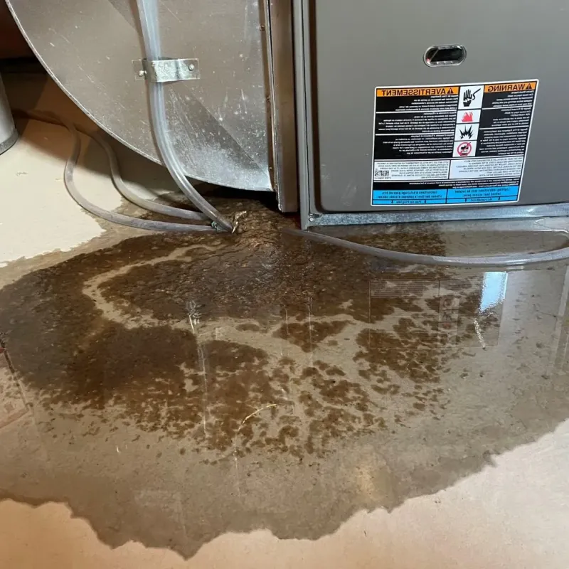 Pipe Burst and Leak Restoration in Wilmington, IL