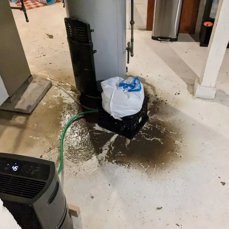 Sewage Backup Cleanup Service in Wilmington, IL